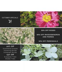 Romence Garden Center – Designs on the Grand